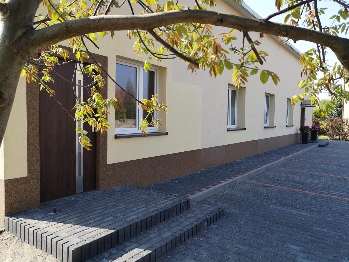 Noclegi U Adama Kajetany Exterior photo